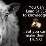 SHEEP TO KNOWLEDGE