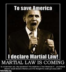 obama-martial-law-2.jpg