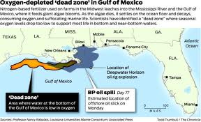 Gulf Dead Zones Caused By Corexit