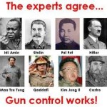 gun control works