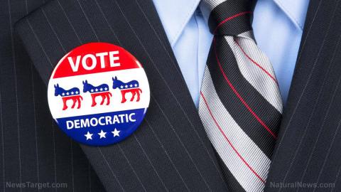 democratic pin