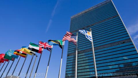 united nations flags