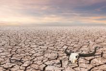 DROUGHT AND FAMINE