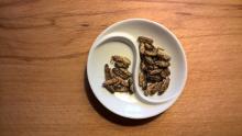 INSECTS ON PLATE