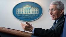 FAUCI AND WHITE HOUSE