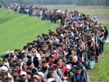 immigrant hordes